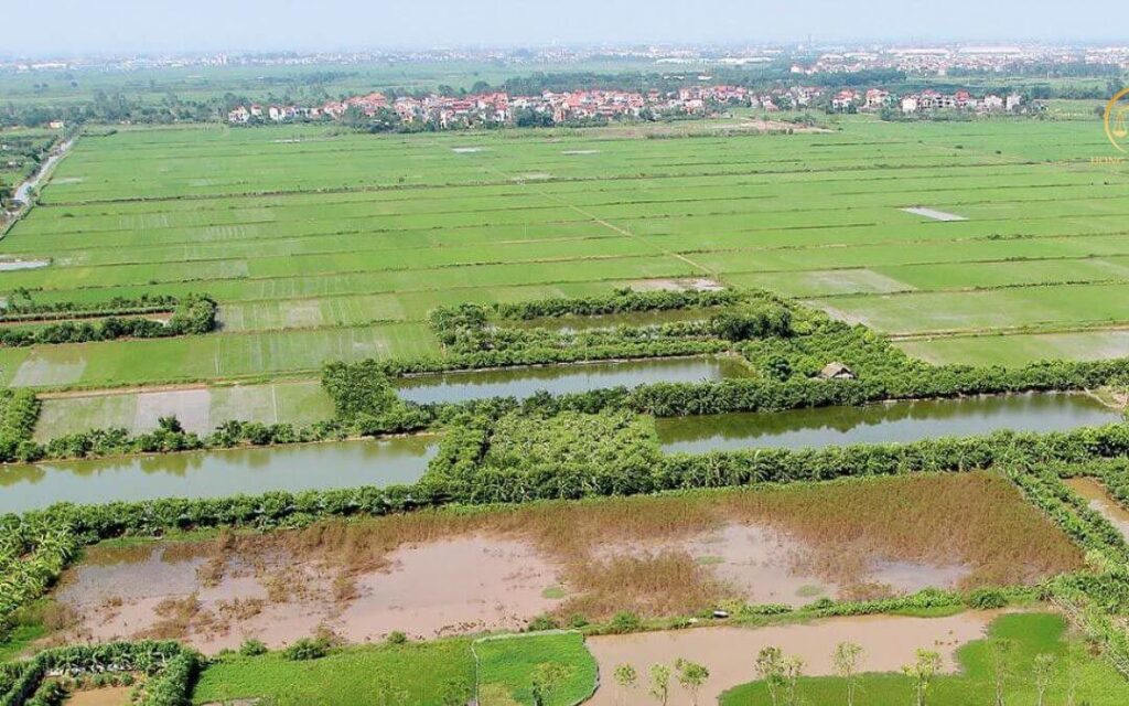 thu-tuc-giao-dat-nong-nghiep-1736222300650810334237-0-0-675-1080-crop-1736222329865837695105